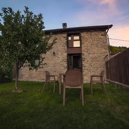 Apartamentos Camino De La Val Borau Exterior photo
